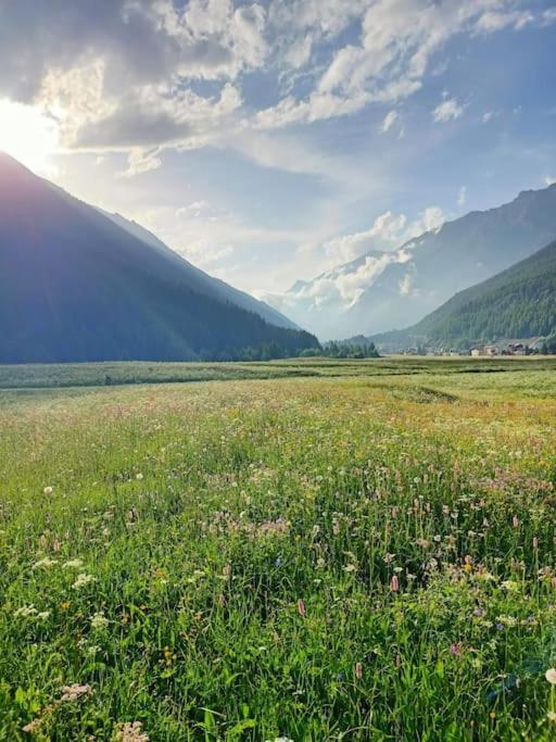 Villa Costa Da Lori Cogne Εξωτερικό φωτογραφία